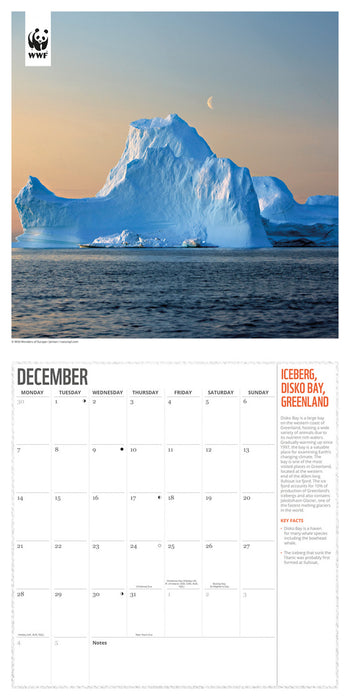 WWF Fragile Earth 2026 Square Wall Calendar
