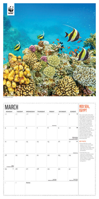 2024 WWF Fragile Earth Wall Calendar