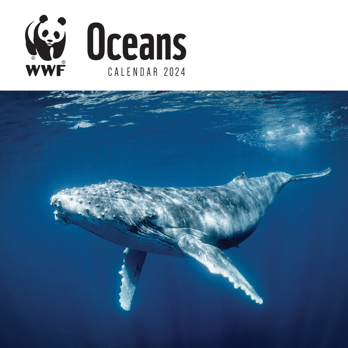 2024 WWF Oceans Wall Calendar — Calendar Club