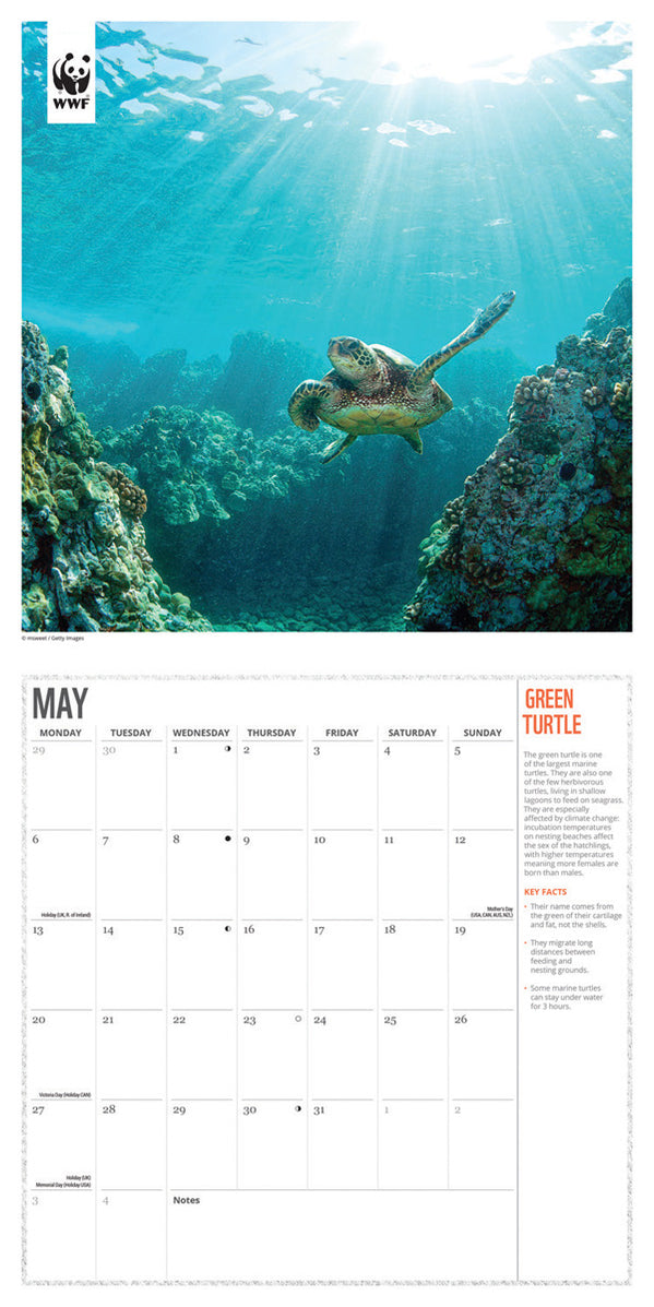 2024 WWF Oceans Wall Calendar — Calendar Club