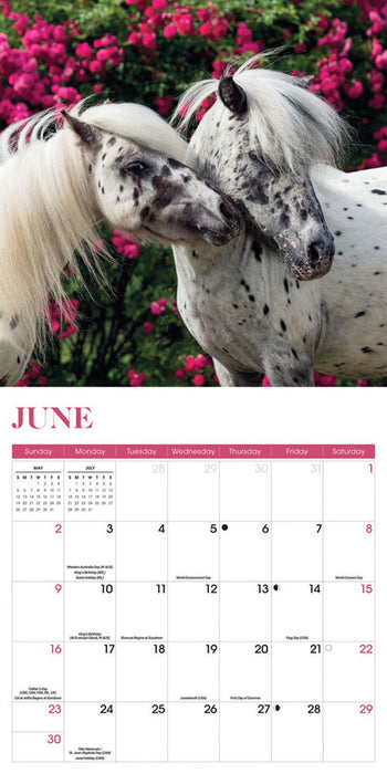 2024 Horses Wall Calendar