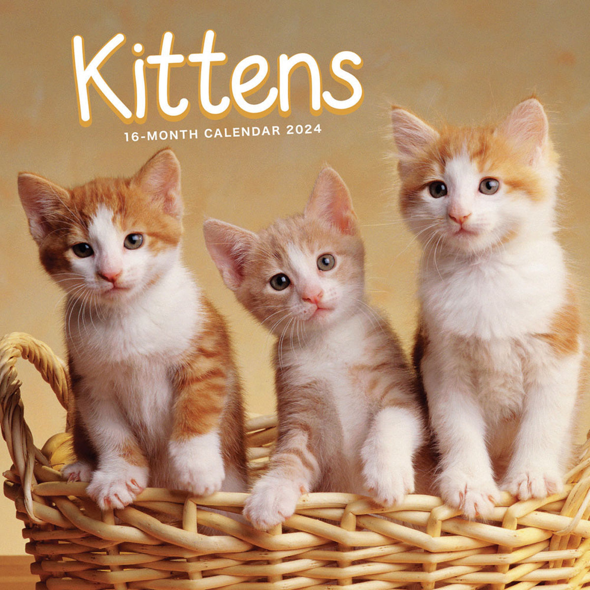 2024 Kittens Mini Wall Calendar Calendar Club   9781529834468 1200x1200 