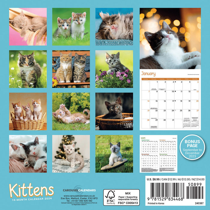 2024 Kittens Mini Wall Calendar