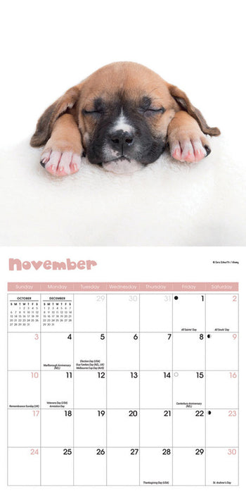 2024 Puppies Mini Wall Calendar