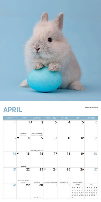 2024 Rabbits Wall Calendar
