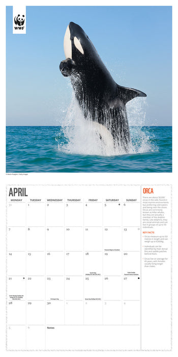 2025 WWF Oceans Wall Calendar