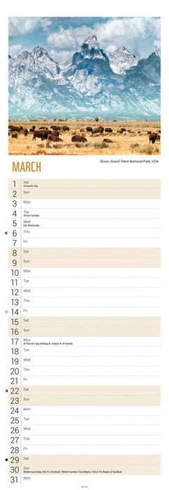 2025 WWF Beautiful World Slimline Wall Calendar