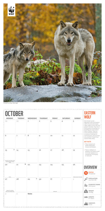 2025 WWF Amazing Wildlife Wall Calendar