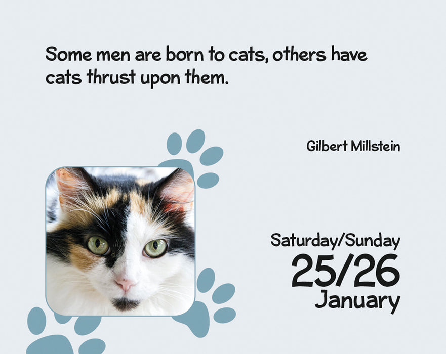 2025 Cats Mini Page-A-Day Calendar