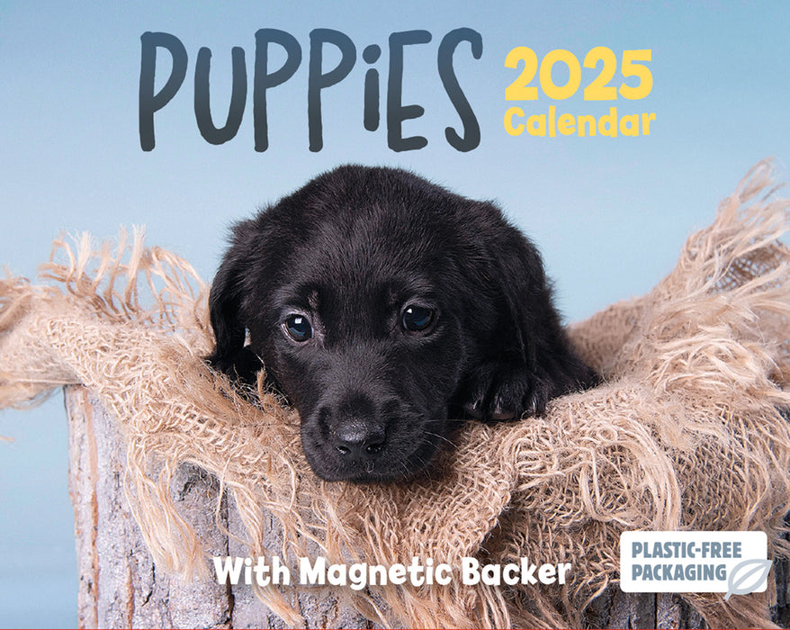 2025 Puppies Mini Page-A-Day Calendar