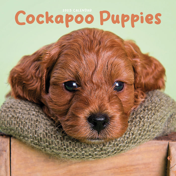 2025 Cockapoo Puppies Mini Wall Calendar