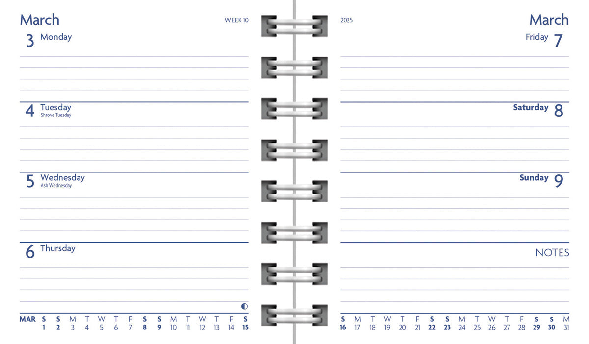 Calendar Club | 2025 Fashion Hedgehog Diary