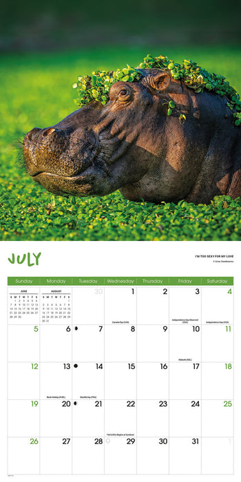 Comedy Wildlife Photography Awards 2026 Square Wall Calendar
