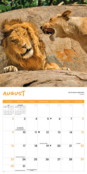 Comedy Wildlife Photography Awards 2026 Square Wall Calendar