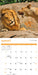 Comedy Wildlife Photography Awards 2026 Square Wall Calendar