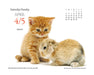 Kittens and Friends 2026 Page-A-Day Calendar