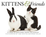 Kittens and Friends 2026 Page-A-Day Calendar