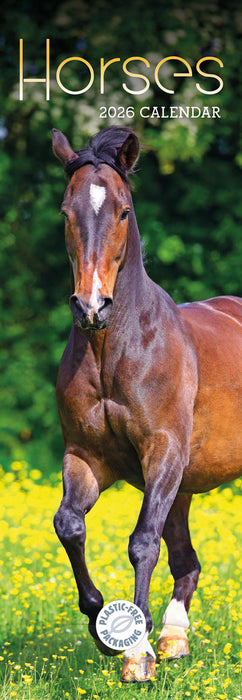 Horses 2026 Slimline Wall Calendar