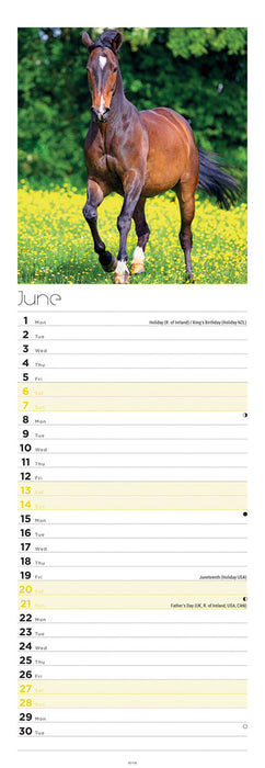 Horses 2026 Slimline Wall Calendar