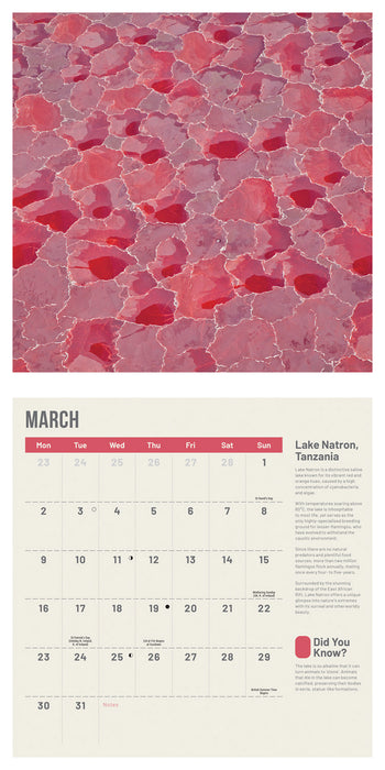 Amazing Planet 2026 Square Wall Calendar