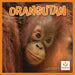 Orangutan 2026 Square Wall Calendar