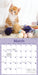 Curious Kittens 2026 Mini Wall Calendar