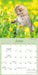 Curious Kittens 2026 Mini Wall Calendar