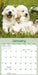 Playful Puppies 2026 Mini Wall Calendar