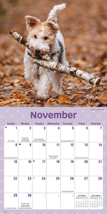 Playful Puppies 2026 Mini Wall Calendar