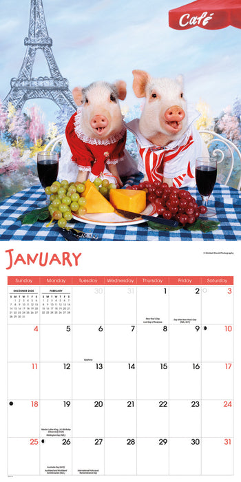 Pigs Playful 2026 Square Wall Calendar