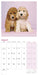 Cockapoo Puppies 2026 Mini Wall Calendar