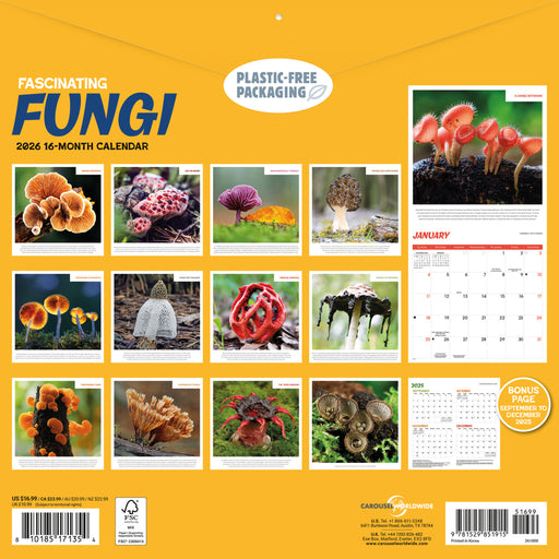 Fascinating Fungi 2026 Square Wall Calendar