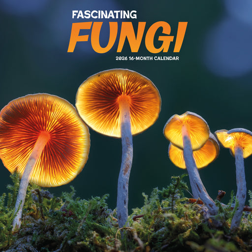 Fascinating Fungi 2026 Square Wall Calendar