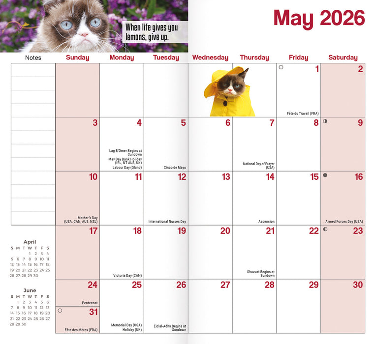 Grumpy Cat 2026 Pocket Diary