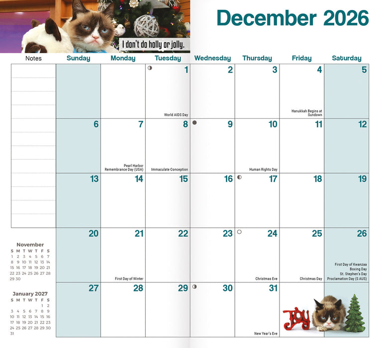 Grumpy Cat 2026 Pocket Diary