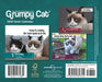 Grumpy Cat 2026 Page-A-Day Calendar