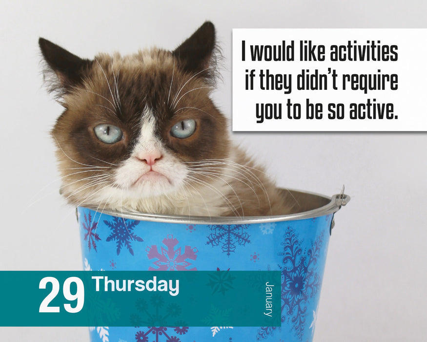 Grumpy Cat 2026 Page-A-Day Calendar