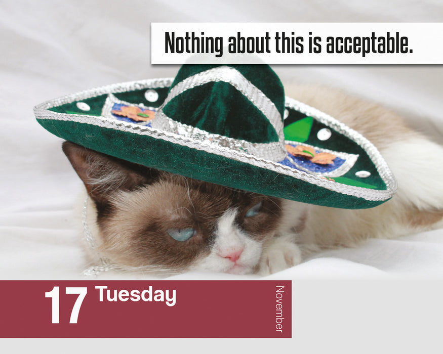 Grumpy Cat 2026 Page-A-Day Calendar