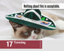 Grumpy Cat 2026 Page-A-Day Calendar