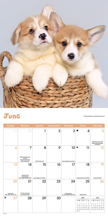 Puppies 2027 Mini Wall Calendar