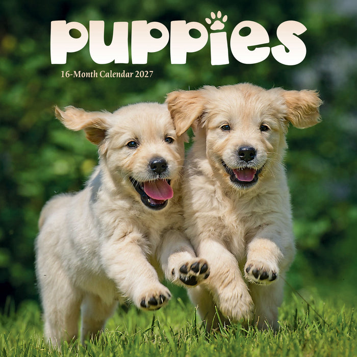 Puppies 2027 Mini Wall Calendar