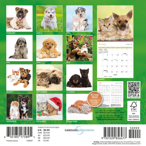 Kittens and Puppies 2027 Mini Wall Calendar