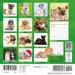 Kittens and Puppies 2027 Mini Wall Calendar