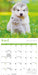 Kittens and Puppies 2027 Mini Wall Calendar