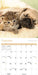 Kittens and Puppies 2027 Mini Wall Calendar