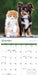 Kittens and Puppies 2027 Mini Wall Calendar