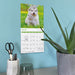 Kittens and Puppies 2027 Mini Wall Calendar