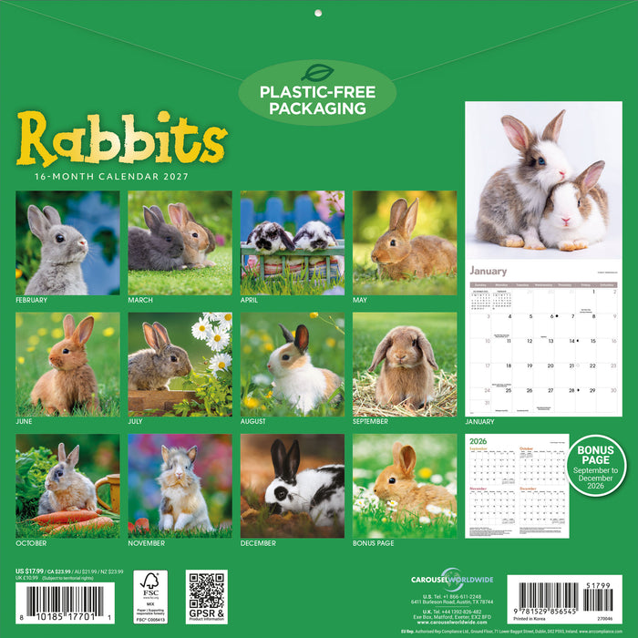Rabbits 2027 Square Wall Calendar