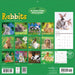 Rabbits 2027 Square Wall Calendar