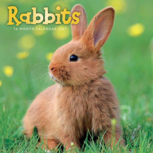 Rabbits 2027 Square Wall Calendar